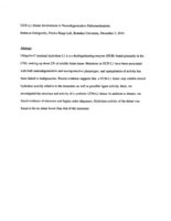 UCH-Ll Dimer Involvement in Neurodegenerative Pathomechanisms