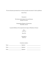 The Role of Dynamic Gravitational Cues on Human Perception and Control of Vehicle Equilibrium
