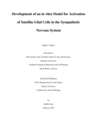 Development of an in vitro Model for Activation of Satellite Glial Cells in the Sympathetic Nervous System