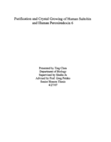Purification and Crystal Growing of Human Saitohin and Human Peroxiredoxin 6