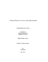 Cloning and Expression of Bacillus subtilis GabR and ΔGabR