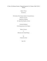 A Tale of a Helicase Protein: Characterizing the Fe-S Cluster of the FANCJ Protein