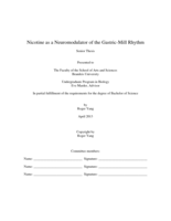 Nicotine as a Neuromodulator of the Gastric-Mill Rhythm