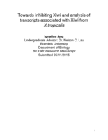 Towards inhibiting Xiwi and analysis of transcripts associated with Xiwi from X.tropicalis