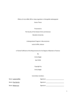 Effects of micro-RNA 190 on sleep regulation in Drosophila melanogaster