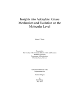 Insights into Adenylate Kinase Mechanism and Evolution on the Molecular Level