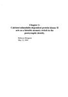 Chapter 1: Calcium/calmodulin-dependent protein kinase II acts as a bistable memory switch in the postsynaptic density.