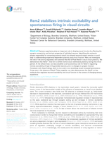 Rem2 stabilizes intrinsic excitability and spontaneous firing in visual circuits