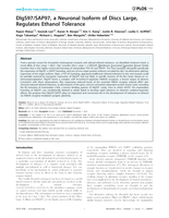 DlgS97/SAP97, a neuronal isoform of discs large, regulates ethanol tolerance.