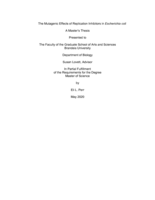 The Mutagenic Effects of Replication Inhibitors in Escherichia coli