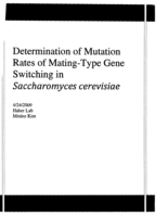 Determination of Mutation Rates of Mating-Type Gene Switching in Saccharomyces cerevisiae