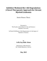 Inhibitor Mediated Bcr-Abl Degradation: A Novel Therapeutic Approach for Chronic Myeloid Leukemia
