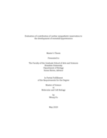 Evaluation of contribution of cardiac sympathetic innervation to the development of essential hypertension