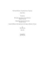 The Neural Substrates of Incidental Sensory Experience