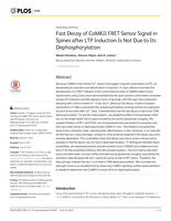 Fast Decay of CaMKII FRET Sensor Signal in Spines after LTP Induction Is Not Due to Its Dephosphorylation.