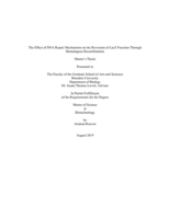The Effect of DNA Repair Mechanisms on the Reversion of LacZ Function Through Homologous Recombination