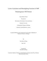 Lysine Acetylation and Moonlighting Functions of IMP Dehydrogenase CBS Domain