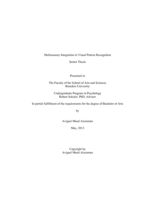 Multisensory Integration in Visual Pattern Recognition