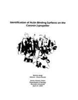 Identification of Actin Binding Surfaces on the Coronin β-propeller