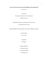 Gq is involved in the sleep circuit of Drosophila dorsal fan-shaped body