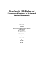 Tissue Specific CLK Binding and Expression of Isoforms in Brains and Heads of Drosophila