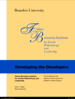 Developing the Developers