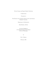 Picture Groups and Simple Minded Collections