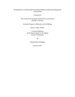 The Mechanisms of DNA Double Strand Break Repair and Mismatch Recognition