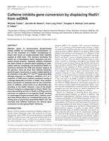 Caffeine inhibits gene conversion by displacing Rad51 from ssDNA