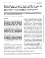 Caffeine impairs resection during DNA break repair by reducing the levels of nucleases Sae2 and Dna2