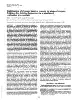 Stabilization of diverged tandem repeats by mismatch repair: evidence for deletion formation via a misaligned replication intermediate