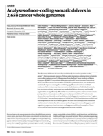 Analyses of non-coding somatic drivers in 2,658&nbsp;cancer whole genomes