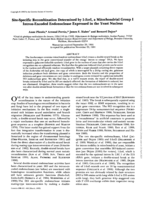 Site-specific recombination determined by I-SceI, a mitochondrial group I intron-encoded endonuclease expressed in the yeast nucleus