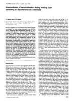 Intermediates of recombination during mating type switching in Saccharomyces cerevisiae
