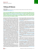 TOPping Off Meiosis