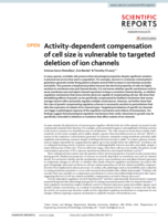 Activity-dependent compensation of cell size is vulnerable to targeted deletion of ion channels
