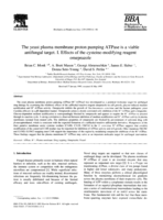 The yeast plasma membrane proton pumping ATPase is a viable antifungal target. I. Effects of the cysteine-modifying reagent omeprazole