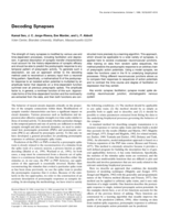 Decoding Synapses