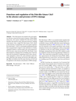 Functions and regulation of the Polo-like kinase Cdc5 in the absence and presence of DNA damage