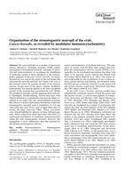 Organization of the stomatogastric neuropil of the crab, Cancer borealis, as revealed by modulator immunocytochemistry