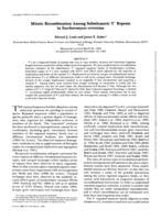 Mitotic recombination among subtelomeric Y' repeats in Saccharomyces cerevisiae