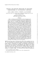 MEIOTIC AND MITOTIC BEHAVIOR OF DICENTRIC CHROMOSOMES IN SACCHAROMYCES CEREVISIAE