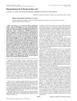 Exonuclease X of Escherichia coli. A novel 3'-5' DNase and Dnaq superfamily member involved in DNA repair