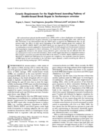Genetic Requirements for the Single-Strand Annealing Pathway of Double-Strand Break Repair in Saccharomyces cerevisiae