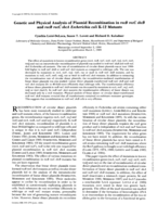 Genetic and physical analysis of plasmid recombination in recB recC sbcB and recB recC sbcA Escherichia coli K-12 mutants