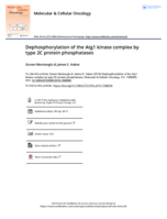 Dephosphorylation of the Atg1 kinase complex by type 2C protein phosphatases