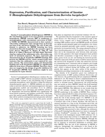 Expression, Purification, and Characterization of Inosine 5′-Monophosphate Dehydrogenase from Borrelia burgdorferi