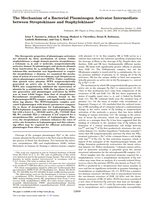 The Mechanism of a Bacterial Plasminogen Activator Intermediate between Streptokinase and Staphylokinase