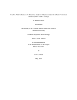 YoaA A Putative Helicase: A Mutational Analysis of Expression Levels in Native Constructs and in Response to DNA Damage