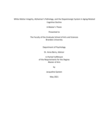 White Matter Integrity, Alzheimer’s Pathology, and the Dopaminergic System in Aging-Related Cognitive Decline